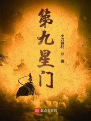 第九星门 境界